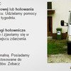 Holowanie Małopolska Pomoc Drogowa zdjęcie 1 Holowanie Małopolska Pomoc Drogowa zdjęcie 1