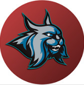 Szkoła nauki jazdy Ośrodek Szkolenia Kierowców RYŚ zdjęcie 1