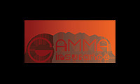 Ubezpieczenia komunikacyjne Gamma Insurance Sp. z o.o. zdjęcie 1